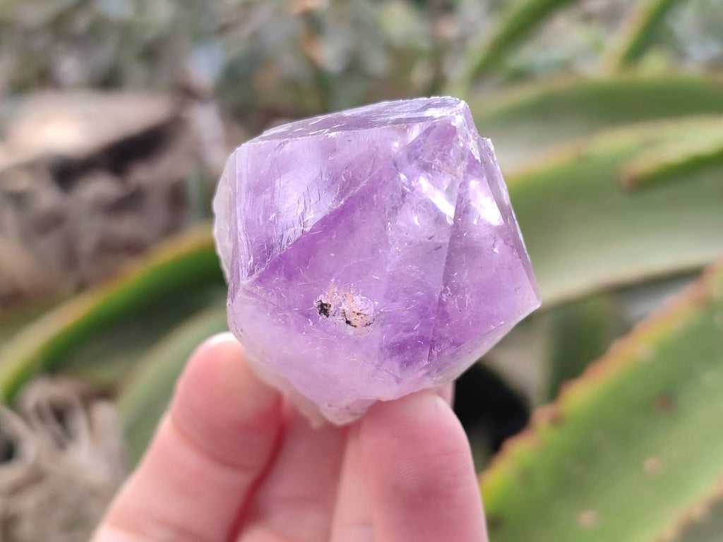 Natural Jacaranda Amethyst Quartz Crystals x 14 From Mumbwa, Zambia - Toprock Gemstones and Minerals 