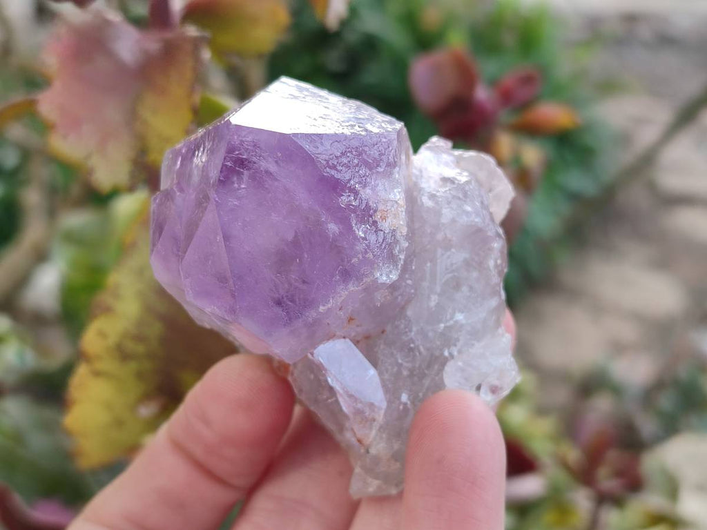 Natural Jacaranda Amethyst Quartz Crystals x 14 From Mumbwa, Zambia - Toprock Gemstones and Minerals 