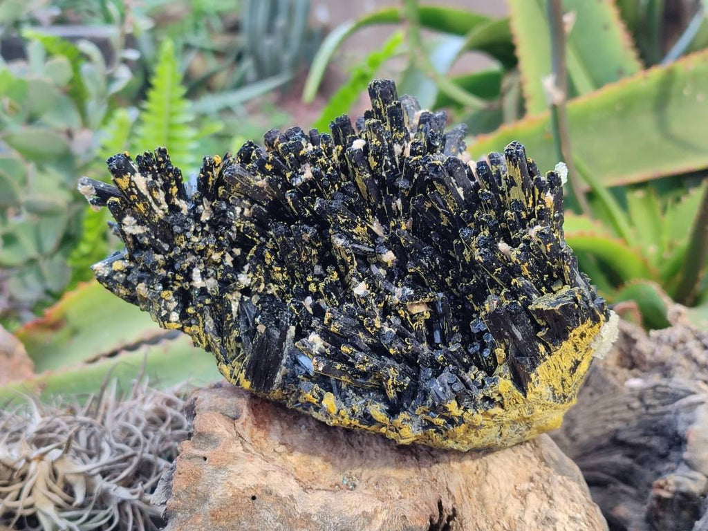 Natural Schorl Black Tourmaline Specimen With Hyalite Opal x 1 From Namibia - Toprock Gemstones and Minerals 