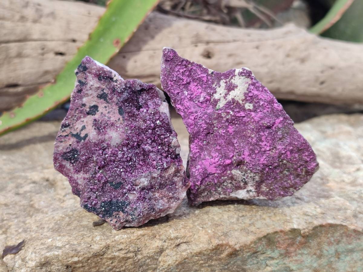 Natural Salrose Cobaltion Dolomite Specimens x 6 From Kakanda, Congo - Toprock Gemstones and Minerals 