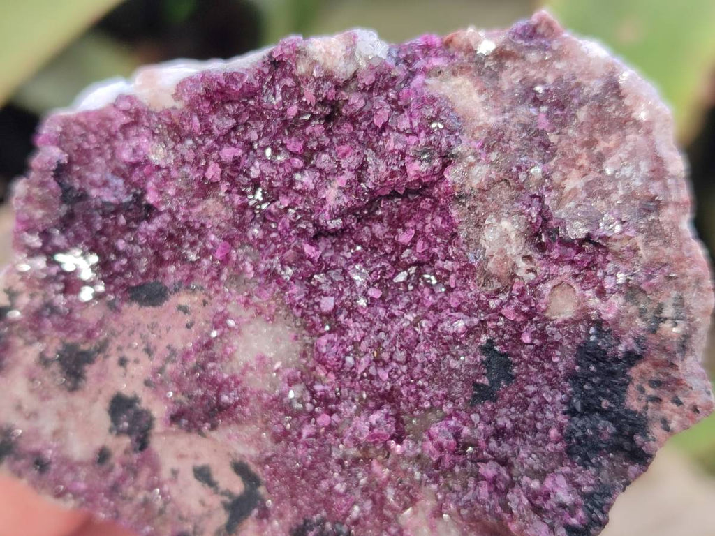 Natural Salrose Cobaltion Dolomite Specimens x 6 From Kakanda, Congo - Toprock Gemstones and Minerals 