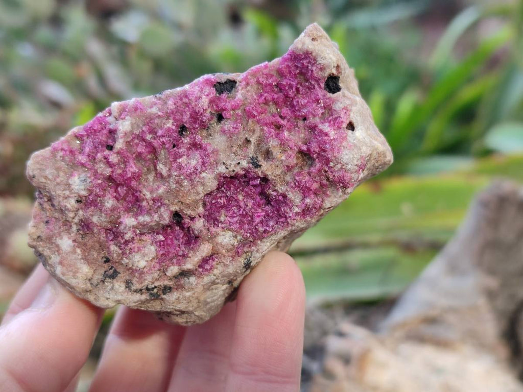 Natural Salrose Cobaltion Dolomite Specimens x 6 From Kakanda, Congo - Toprock Gemstones and Minerals 