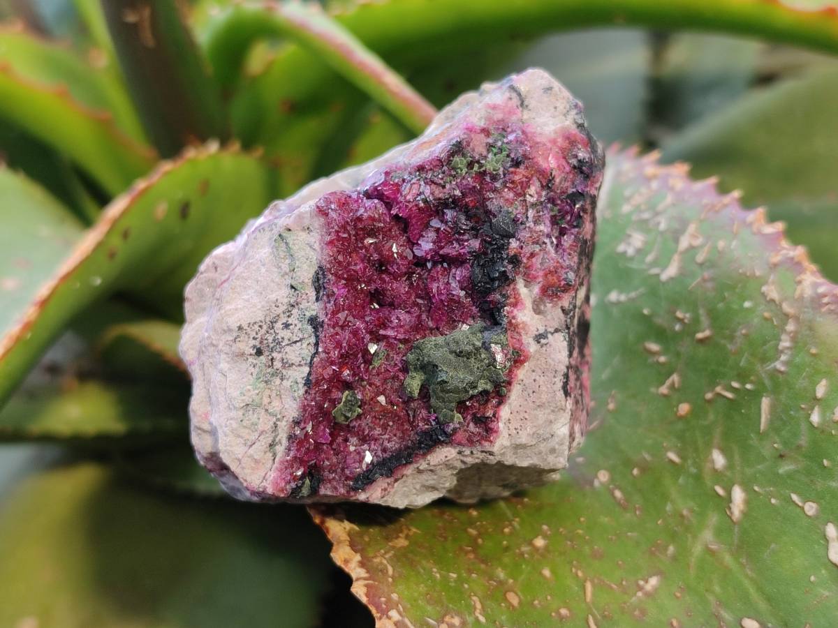 Natural Salrose Cobaltion Dolomite Specimens x 6 From Kakanda, Congo - Toprock Gemstones and Minerals 