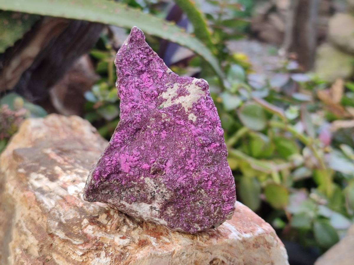 Natural Salrose Cobaltion Dolomite Specimens x 6 From Kakanda, Congo - Toprock Gemstones and Minerals 