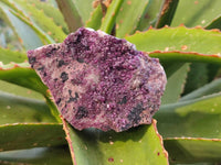 Natural Salrose Cobaltion Dolomite Specimens x 6 From Kakanda, Congo - Toprock Gemstones and Minerals 