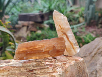 Natural Honey Aragonite Specimens x 35 From Namibia - Toprock Gemstones and Minerals 