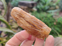 Natural Honey Aragonite Specimens x 35 From Namibia - Toprock Gemstones and Minerals 