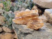 Natural Honey Aragonite Specimens x 35 From Namibia - Toprock Gemstones and Minerals 