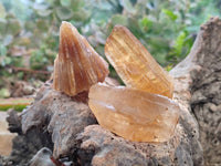 Natural Honey Aragonite Specimens x 35 From Namibia - Toprock Gemstones and Minerals 