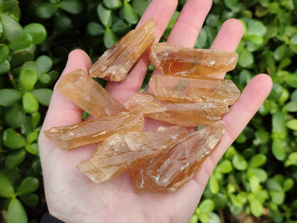 Natural Honey Aragonite Specimens x 35 From Namibia - Toprock Gemstones and Minerals 