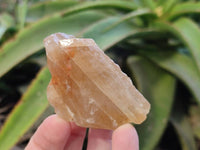 Natural Honey Aragonite Specimens x 35 From Namibia - Toprock Gemstones and Minerals 