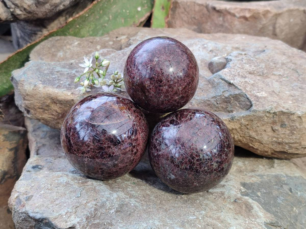 Polished Pyrope Garnet Spheres x 3 From Madagascar - Toprock Gemstones and Minerals 