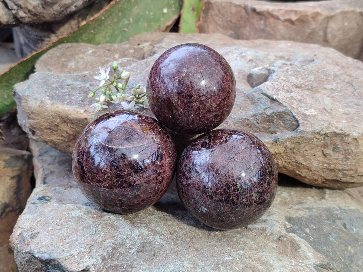 Polished Pyrope Garnet Spheres x 3 From Madagascar - Toprock Gemstones and Minerals 