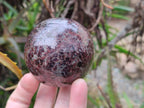 Polished Pyrope Garnet Spheres x 3 From Madagascar - Toprock Gemstones and Minerals 