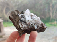 Natural Quartz Matrix Specimens x 4 From Brandberg, Namibia - Toprock Gemstones and Minerals 
