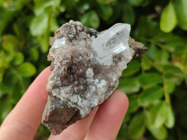 Natural Quartz Matrix Specimens x 4 From Brandberg, Namibia - Toprock Gemstones and Minerals 