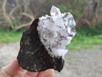Natural Quartz Matrix Specimens x 4 From Brandberg, Namibia - Toprock Gemstones and Minerals 