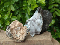Natural Quartz Matrix Specimens x 4 From Brandberg, Namibia - Toprock Gemstones and Minerals 