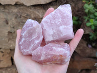 Natural Cobbed Rose Quartz Specimens x 24 From Northern Cape, South Africa - Toprock Gemstones and Minerals 