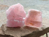 Natural Cobbed Rose Quartz Specimens x 24 From Northern Cape, South Africa - Toprock Gemstones and Minerals 
