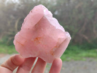 Natural Cobbed Rose Quartz Specimens x 24 From Northern Cape, South Africa - Toprock Gemstones and Minerals 