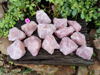 Natural Cobbed Rose Quartz Specimens x 24 From Northern Cape, South Africa - Toprock Gemstones and Minerals 
