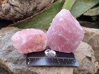 Natural Cobbed Rose Quartz Specimens x 24 From Northern Cape, South Africa - Toprock Gemstones and Minerals 