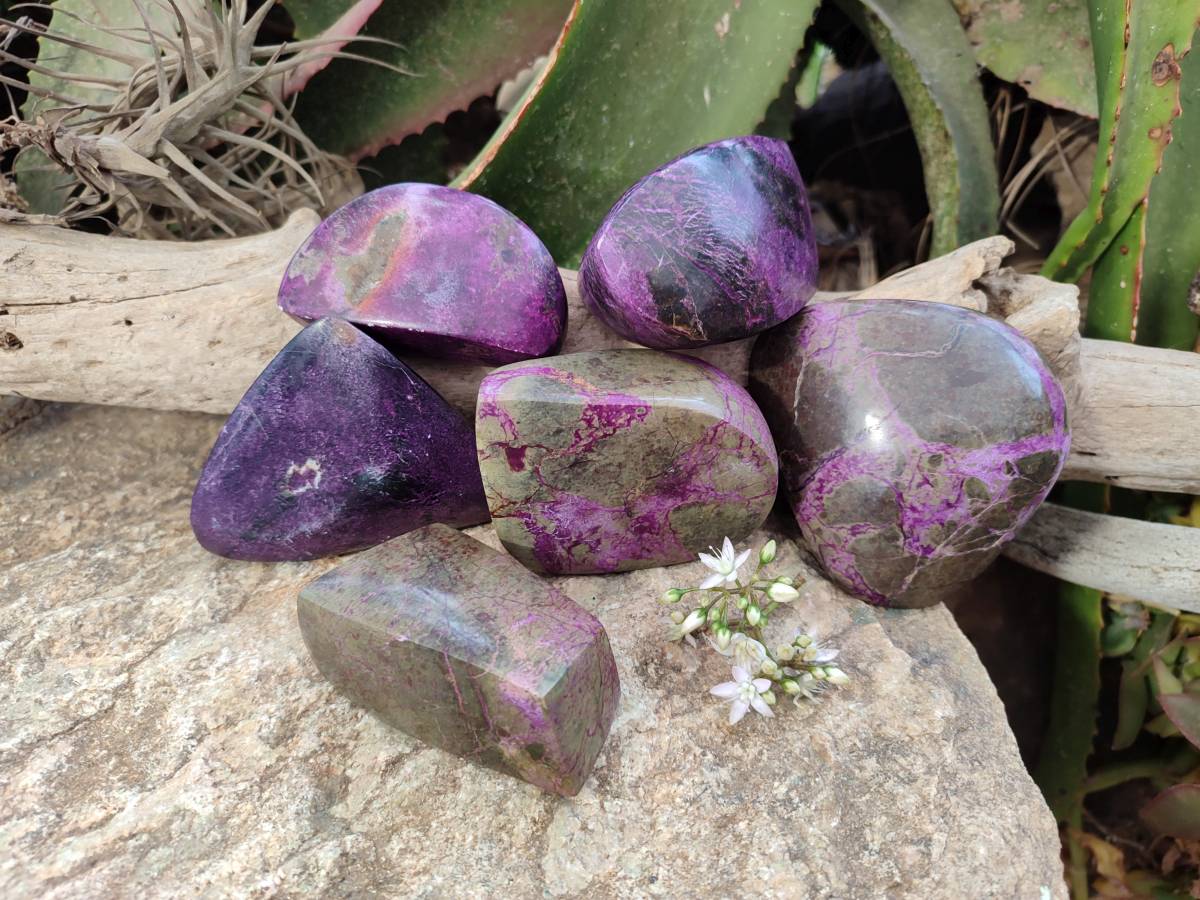 Polished Stichtite Free Forms x 6 From Barberton, South Africa - Toprock Gemstones and Minerals 