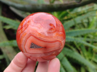 Polished Carnelian Agate Spheres x 3 From Madagascar - Toprock Gemstones and Minerals 