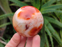 Polished Carnelian Agate Spheres x 3 From Madagascar - Toprock Gemstones and Minerals 