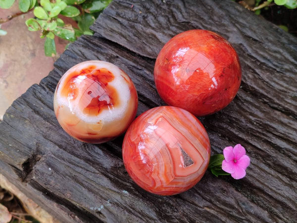 Polished Carnelian Agate Spheres x 3 From Madagascar - Toprock Gemstones and Minerals 