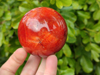 Polished Carnelian Agate Spheres x 3 From Madagascar - Toprock Gemstones and Minerals 