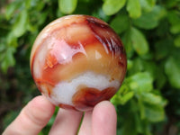 Polished Carnelian Agate Spheres x 3 From Madagascar - Toprock Gemstones and Minerals 