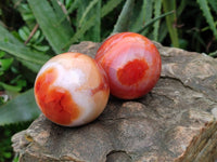 Polished Carnelian Agate Spheres x 3 From Madagascar - Toprock Gemstones and Minerals 