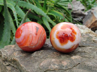 Polished Carnelian Agate Spheres x 3 From Madagascar - Toprock Gemstones and Minerals 