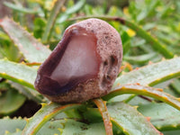 Polished On One Side Red Sashe River Agate Nodules x 12 From Zimbabwe - Toprock Gemstones and Minerals 