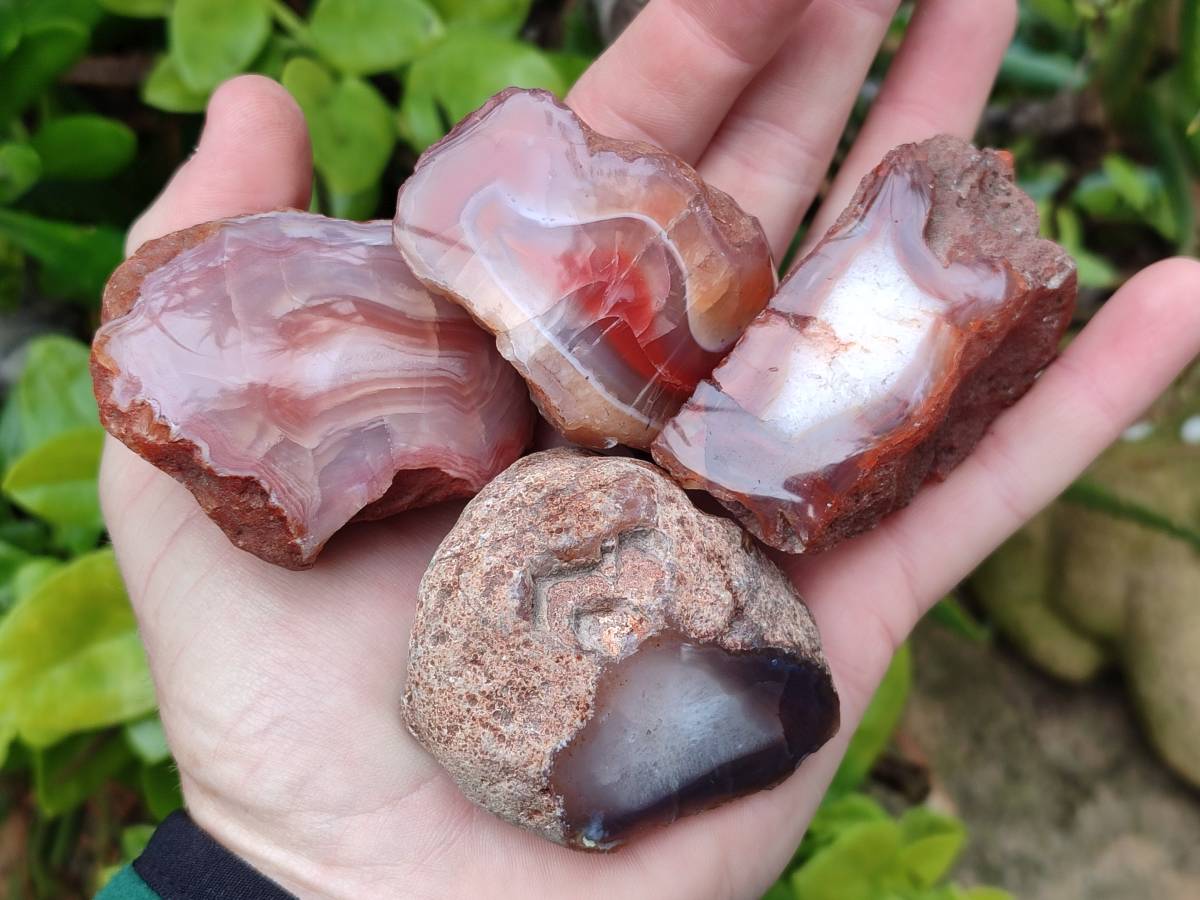 Polished On One Side Red Sashe River Agate Nodules x 12 From Zimbabwe - Toprock Gemstones and Minerals 
