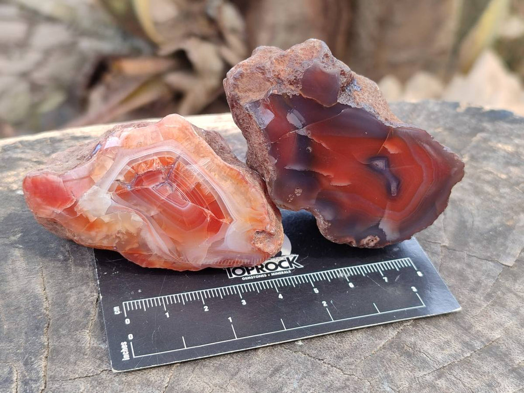 Polished On One Side Red Sashe River Agate Nodules x 12 From Zimbabwe - Toprock Gemstones and Minerals 