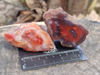 Polished On One Side Red Sashe River Agate Nodules x 12 From Zimbabwe - Toprock Gemstones and Minerals 
