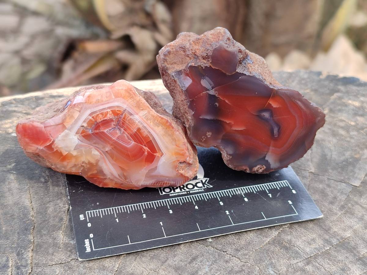 Polished On One Side Red Sashe River Agate Nodules x 12 From Zimbabwe - Toprock Gemstones and Minerals 