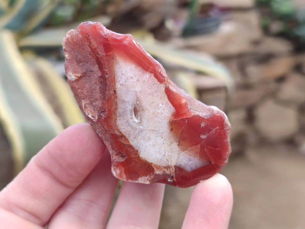 Polished On One Side Red Sashe River Agate Nodules x 12 From Zimbabwe - Toprock Gemstones and Minerals 
