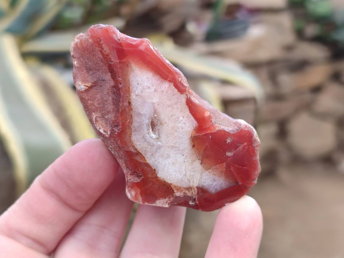 Polished On One Side Red Sashe River Agate Nodules x 12 From Zimbabwe - Toprock Gemstones and Minerals 