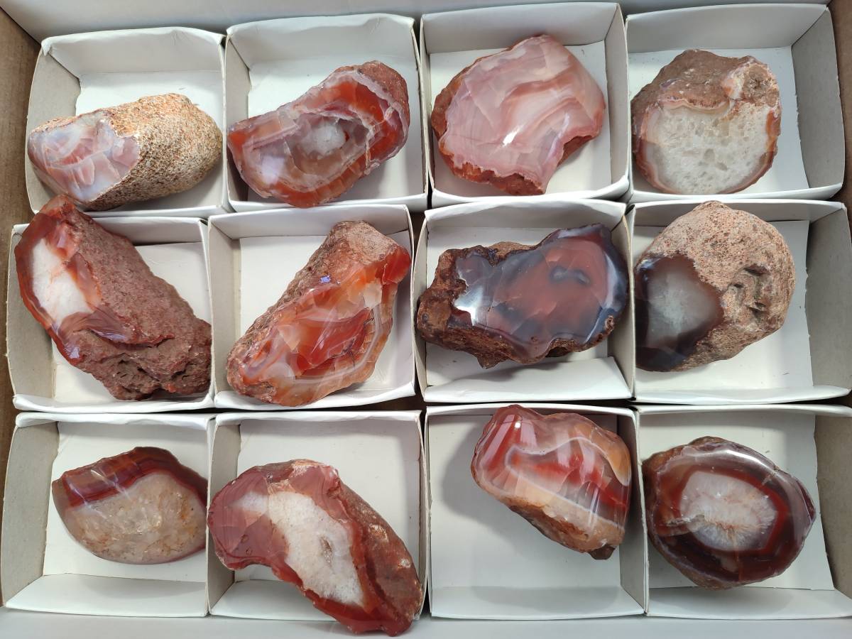 Polished On One Side Red Sashe River Agate Nodules x 12 From Zimbabwe - Toprock Gemstones and Minerals 