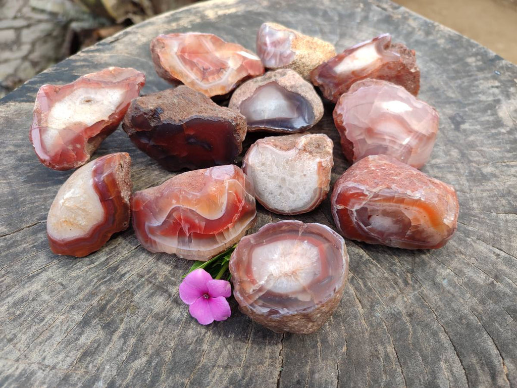 Polished On One Side Red Sashe River Agate Nodules x 12 From Zimbabwe - Toprock Gemstones and Minerals 