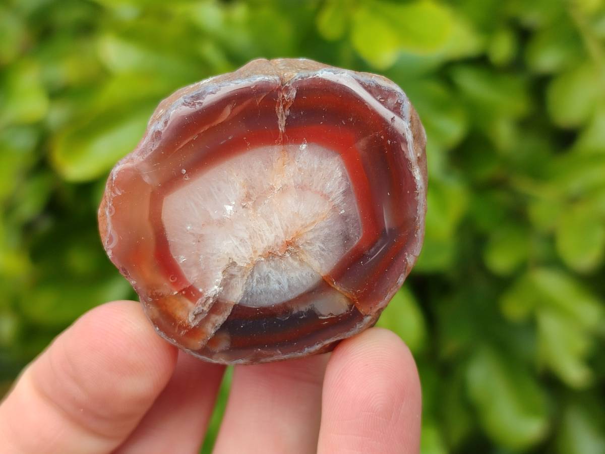 Polished On One Side Red Sashe River Agate Nodules x 12 From Zimbabwe - Toprock Gemstones and Minerals 
