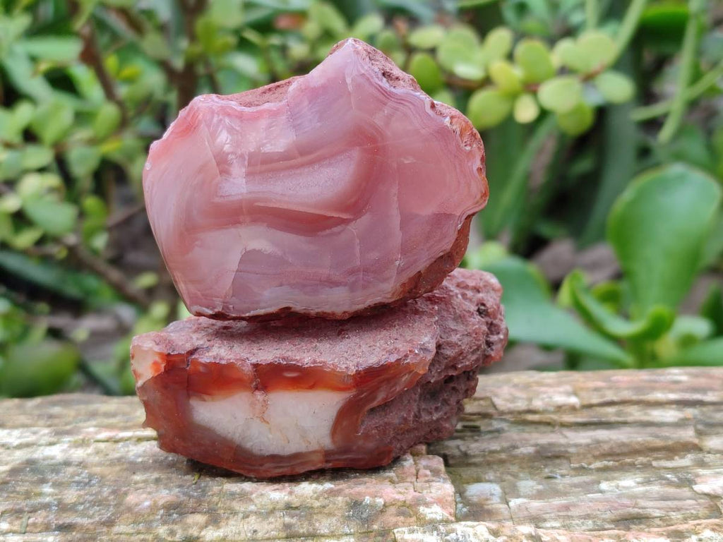 Polished On One Side Red Sashe River Agate Nodules x 12 From Zimbabwe - Toprock Gemstones and Minerals 