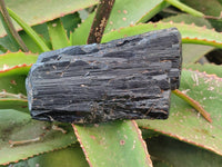 Natural Schorl Black Tourmaline Specimens x 3 From Namibia - Toprock Gemstones and Minerals 