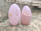 Polished Rose Quartz Standing Free Forms x 3 From Madagascar - Toprock Gemstones and Minerals 