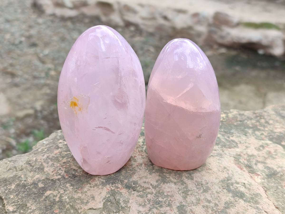 Polished Rose Quartz Standing Free Forms x 3 From Madagascar - Toprock Gemstones and Minerals 