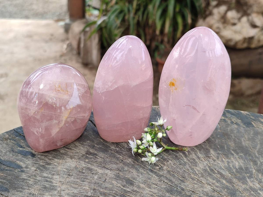 Polished Rose Quartz Standing Free Forms x 3 From Madagascar - Toprock Gemstones and Minerals 